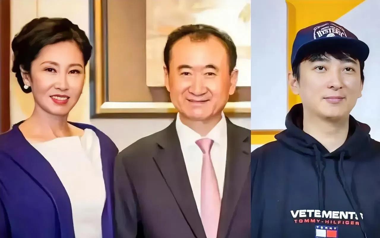 特意去查了一下王健林
终于知道他为什么没再要个女儿了
因为他这些年啊，别看东北西