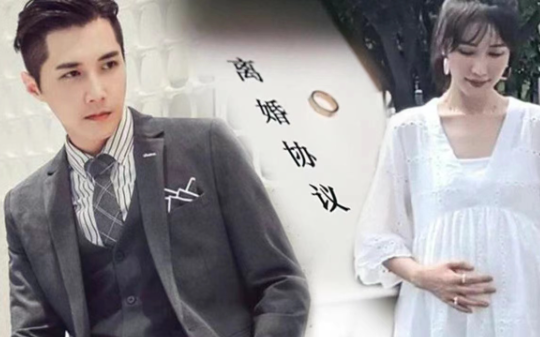 我从未想过，我的未婚夫居然会是一对双胞胎