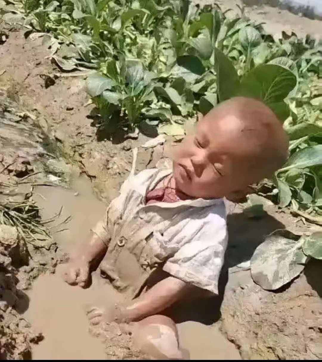 他俩以后应该是两种人生吧！