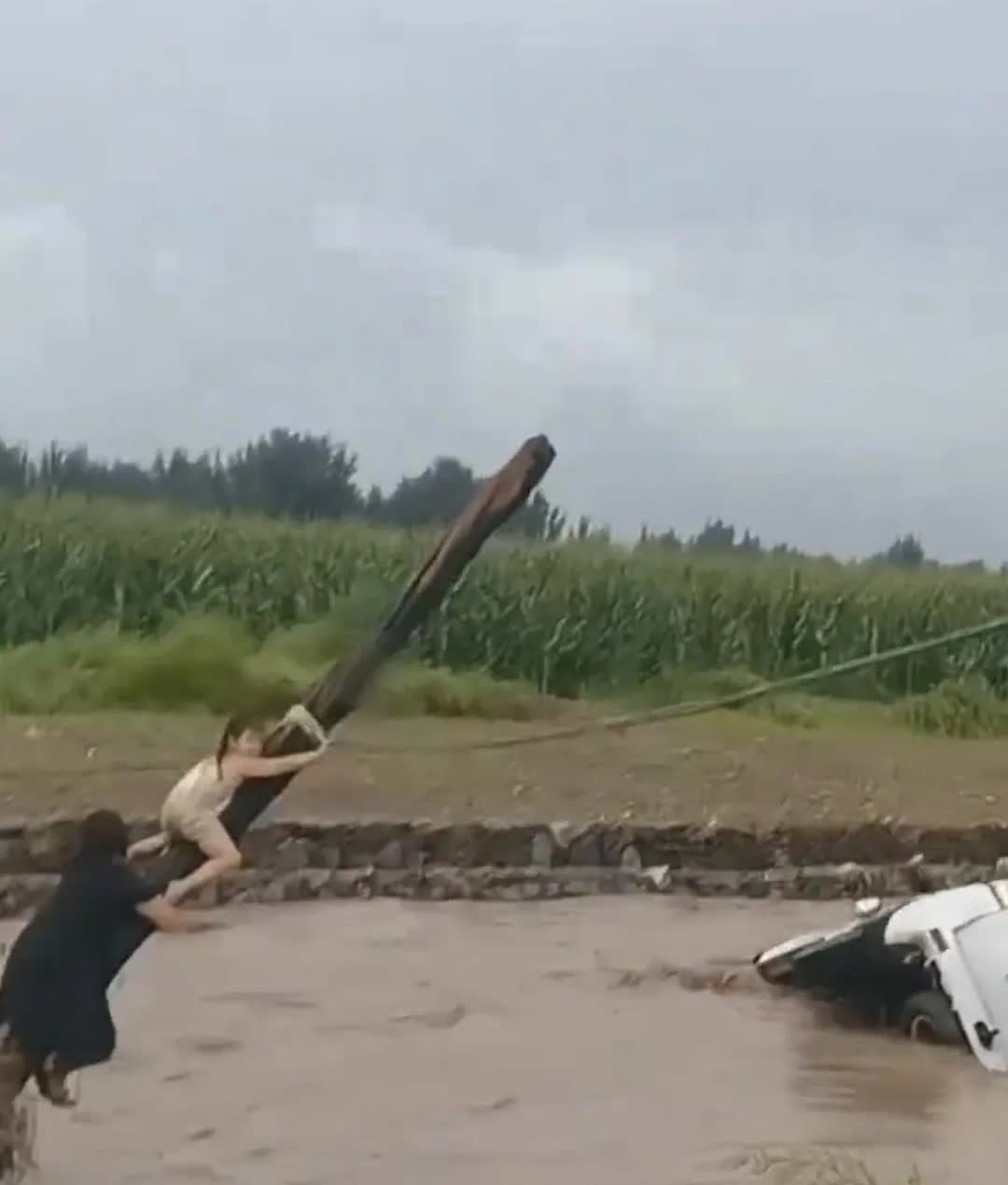 私家车被冲入河道，母女二人趴电线杆求生，母亲把女儿举到头顶，让消防员第一时间救女