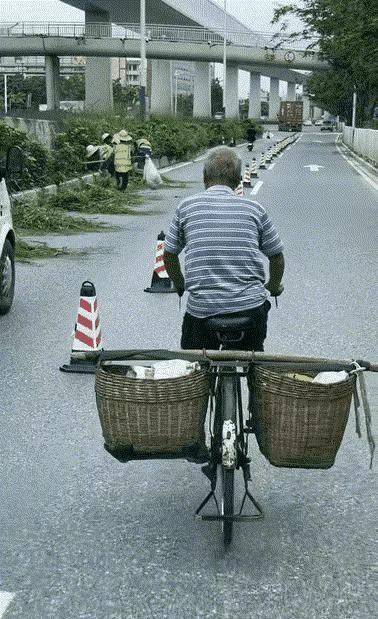 大白天公然破坏交通设施，太缺德！  



光天化日之下，如此肆无忌惮的行径令人
