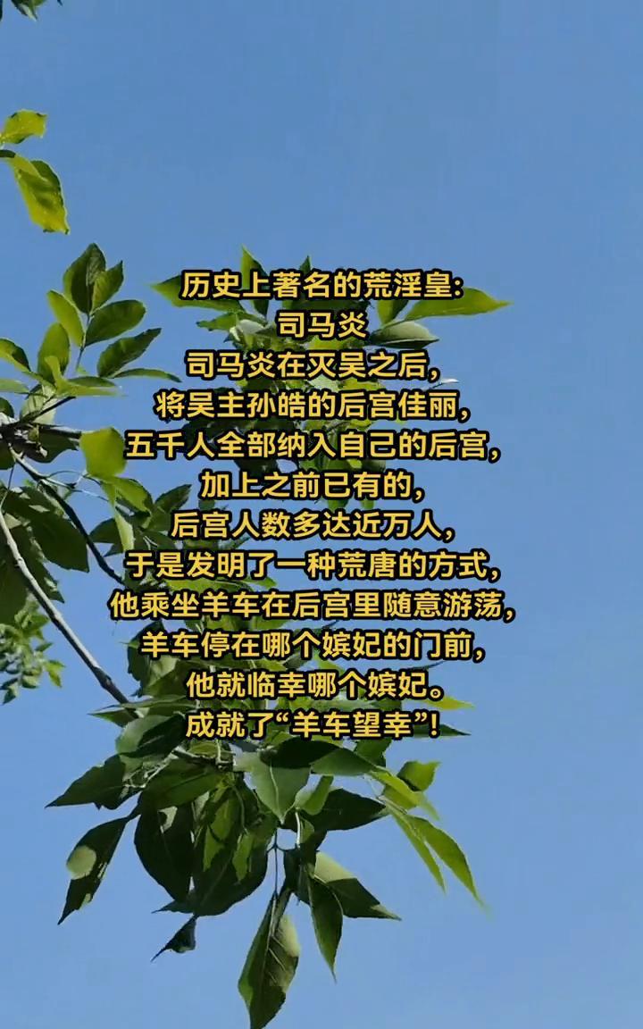 历史上著名的荒淫皇：司马炎。
司马炎在灭吴之后，将吴主孙皓的后宫佳丽五千人全部纳