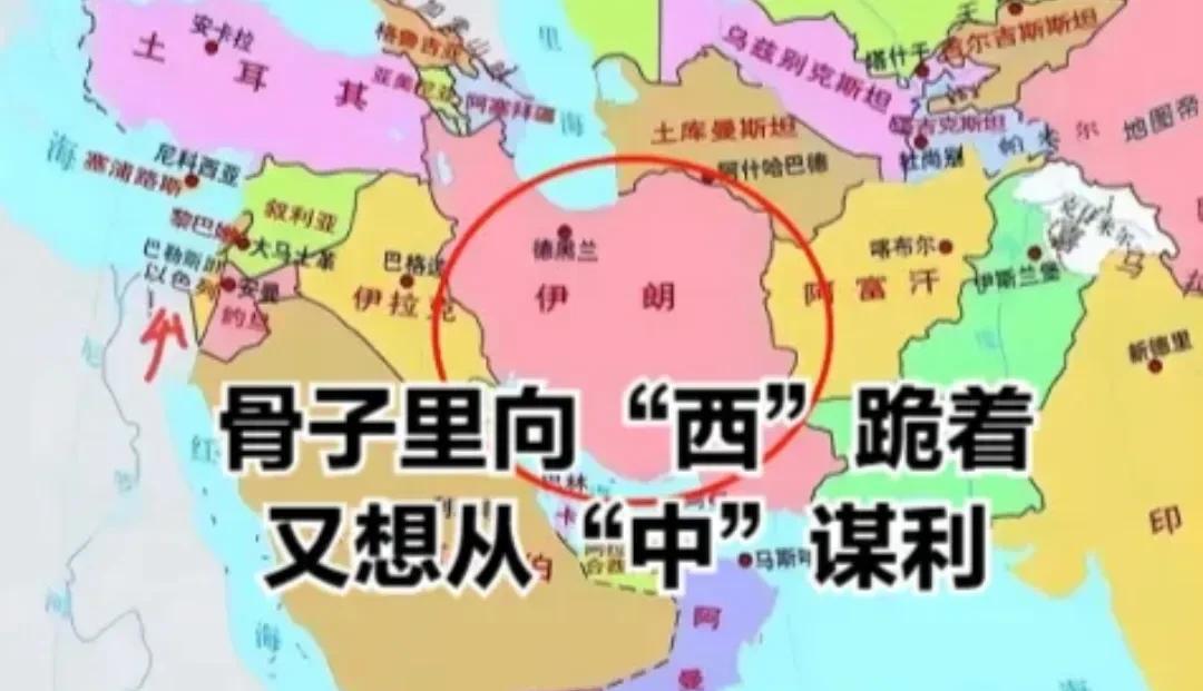 想想孟晚舟的事情
现在的形势
就值得思考了
值不值？