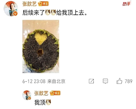 袁弘送张歆艺葵瓜子大圆盘！

6月12日，张歆艺晒出了与一大盘葵瓜子的合照，真的