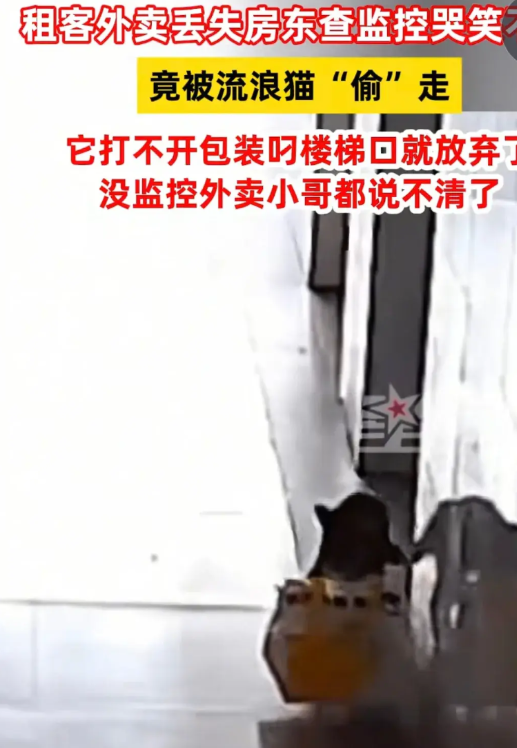活久见！广东，一男子点了一份外卖放门口不见了，怀疑是有人拿走了，就让房东帮忙查监