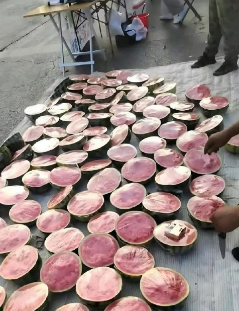 初次创业就瓜分市场，格局打开