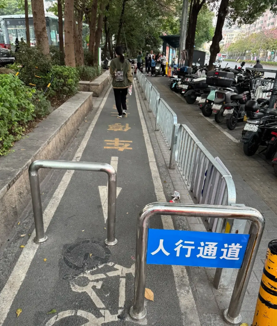 上一届人大代表提了个骑电动车得戴头盔的建议，好家伙，当时在全国闹得沸沸扬扬的，这