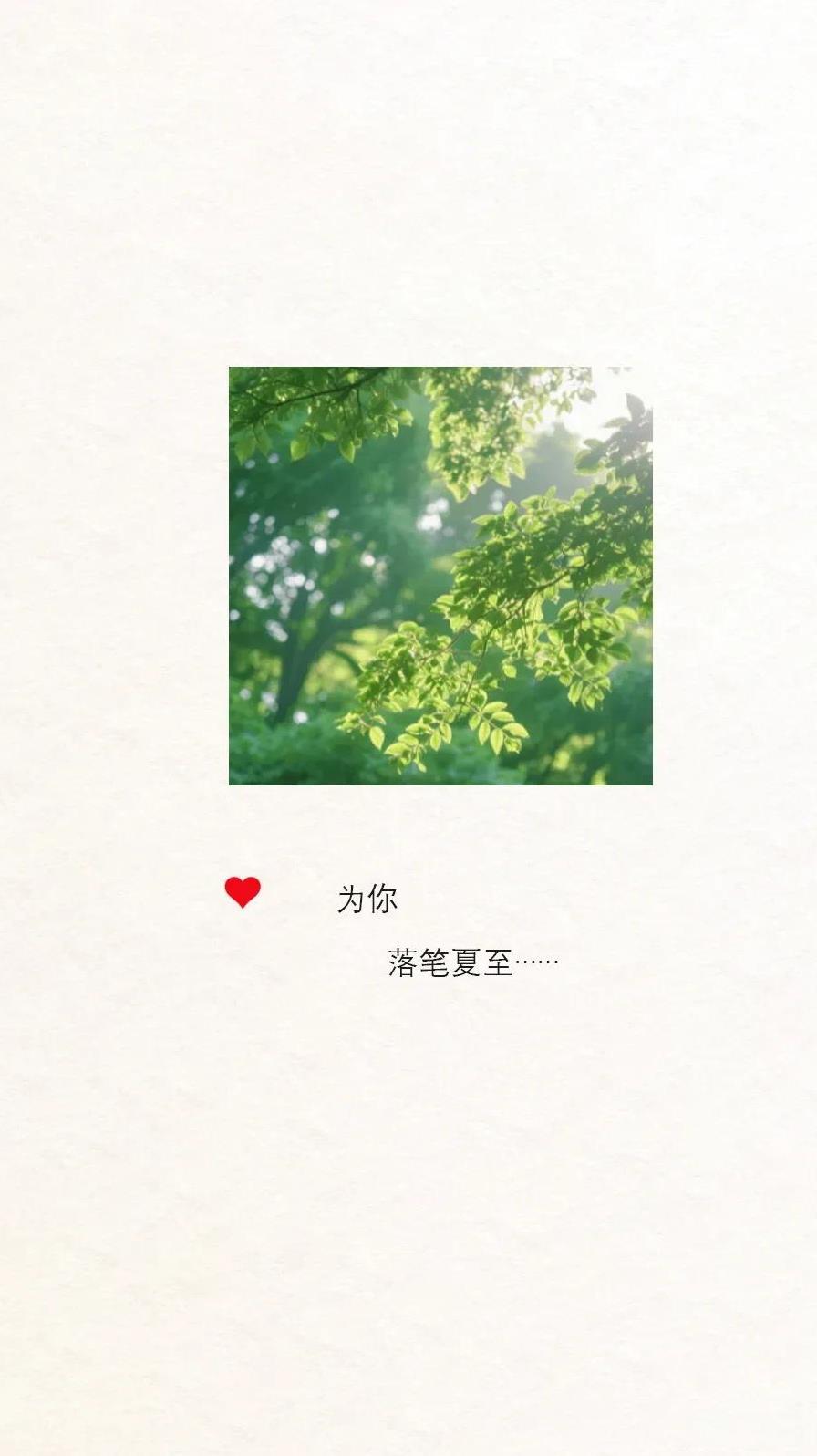盛夏始，
婷婷小荷立，
郁郁绿荫处，声声蝉鸣起，
每一个节气，
都有着不一样的意