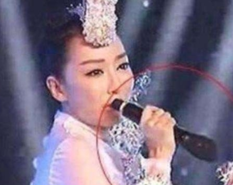 2016年，萨顶顶假唱，金星说：“你不是河南人吗？怎么变成蒙古族了？”萨顶顶说：