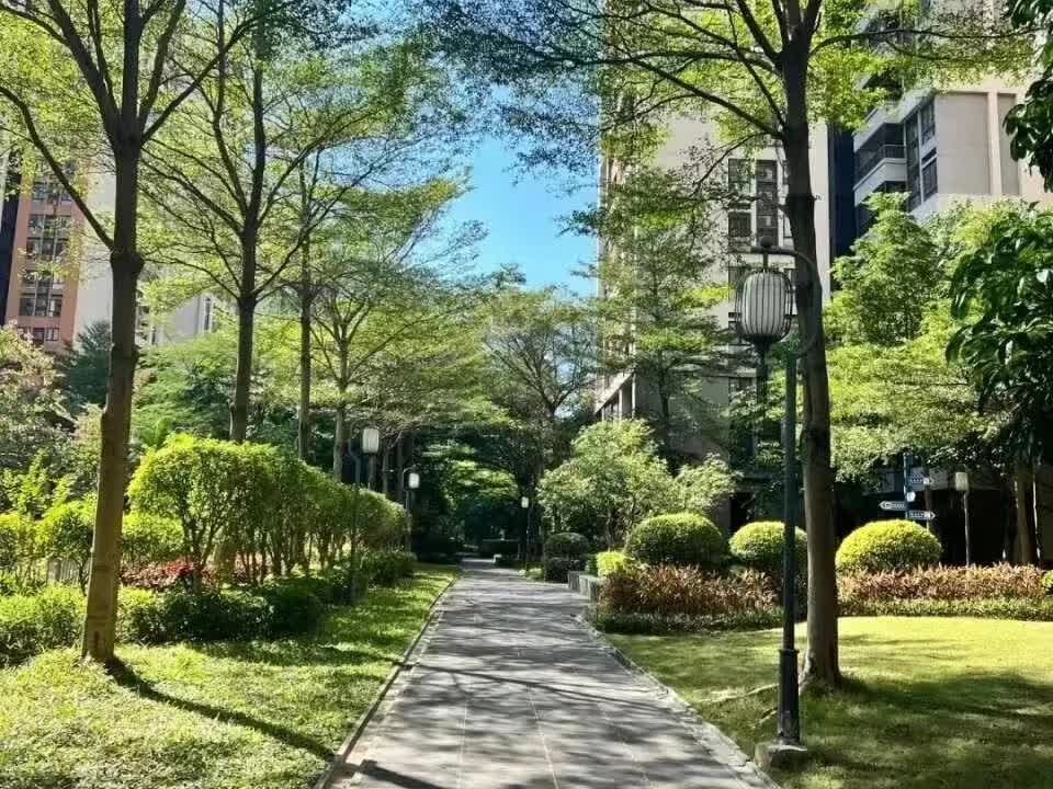 15元一杯的奶茶我都不舍得买，更别说380元一条的裙子。刚不小心看到一个新闻，说