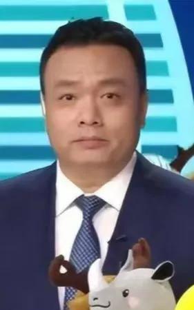 沙桐1968年出生于河南郑州，毕业于中国传媒大学 ，是央视体育频道主持人 、播音