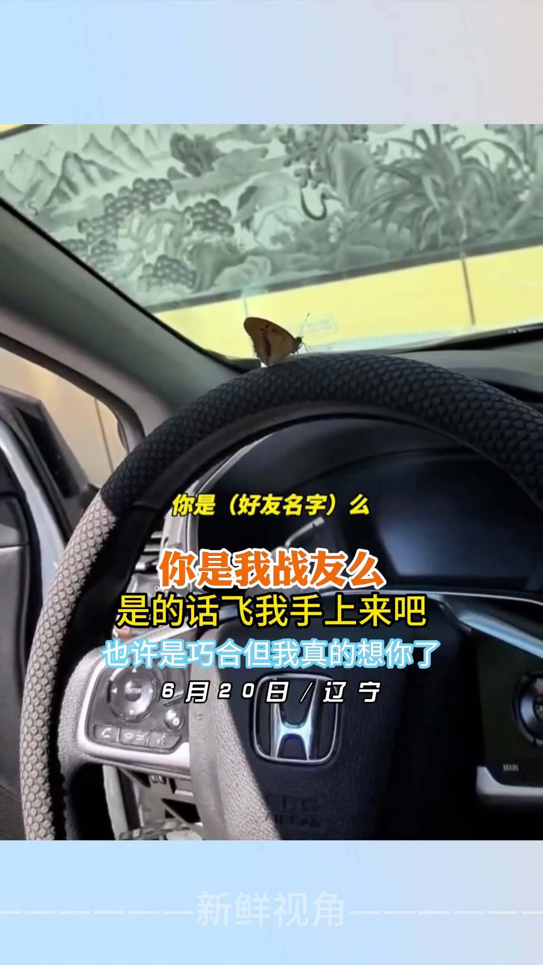 你是我战友么是的话飞我手上来吧 也许是巧合但我真的想你了