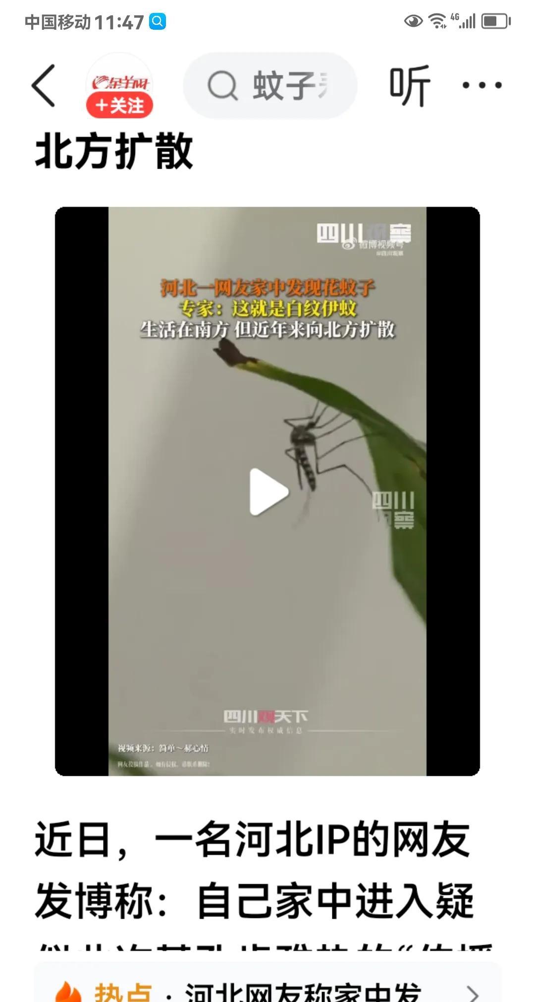 这个消息不可大意。
据金羊网报道，河北网友发视频，说自己家里发现了花蚊子。
经专