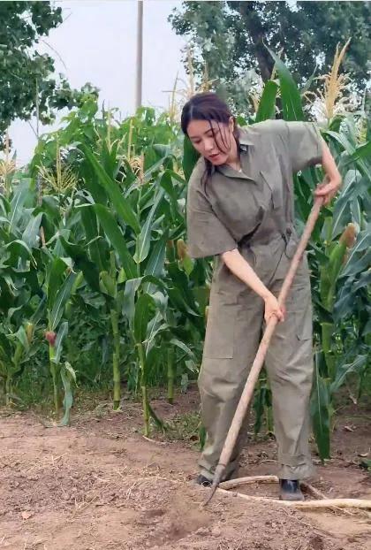 曾黎回家种地穿一千多的衣服合适吗