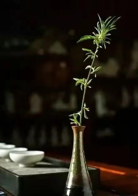 影子漫读绘画说：一直不敢告诉你，
其实这个世界就你一个人，
你在，世界就在，
你