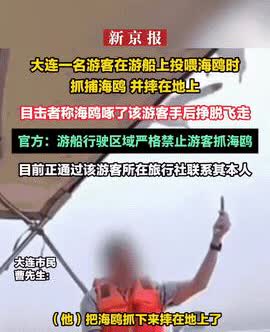 太缺德了！近日，辽宁大连，一群游客乘坐游船看海鸥，其中一男子投喂海鸥时，趁机抓捕