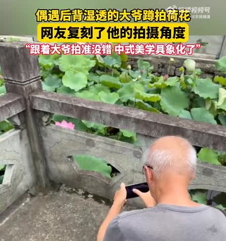 宁波荷池现"美学导师"！汗透衣衫的大爷蹲拍荷花惊艳路人
宁波一荷花池畔，七旬大