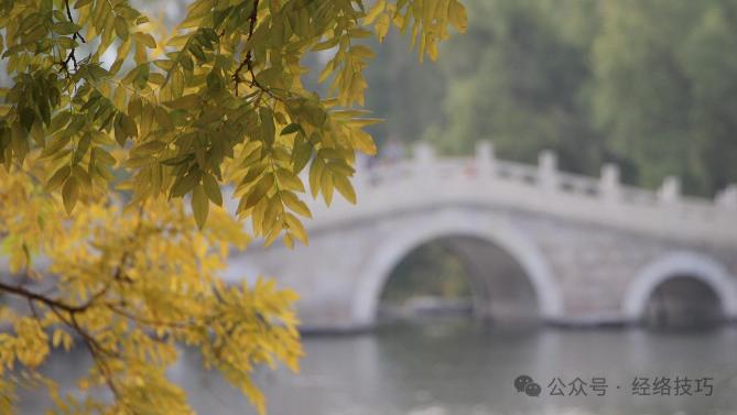 补冬先引补，冬补无效先别忙！入冬前两周是关键，3步打好“吸收底子”