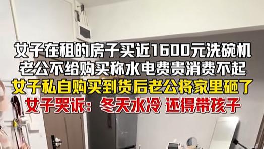 全职妈妈花1500元买洗碗机，老公把家全砸了！
