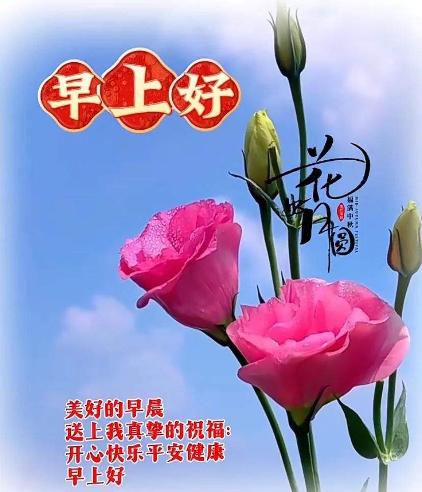 #感知初夏的凉爽# #元气满满的夏日# 
#过好愉快的夏天# #初夏浪漫季#