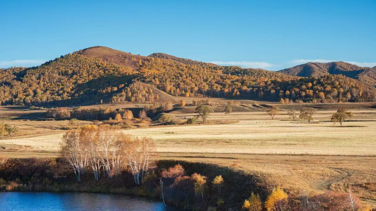 认定依据存疑 + 程序违规，山西刘先生八年 “退休拉锯战” 何时解决？