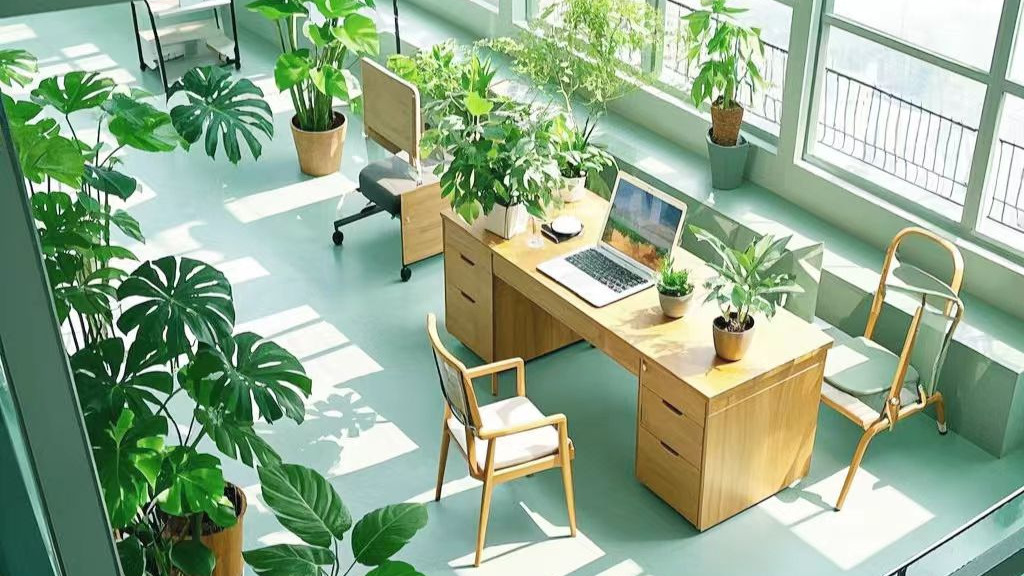 体制内健康经：把健康管理玩成系统工程