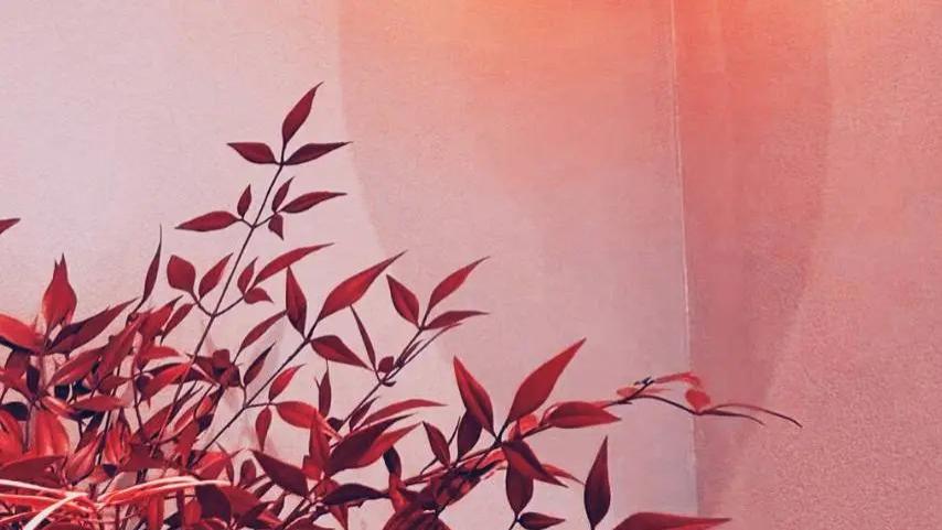 随笔：还是那句话，凡是过往，皆为序章