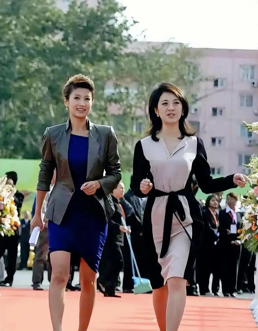 许戈辉、徐春妮都是优秀的主持人。许戈辉是央视前主持人，曾获″全国最受欢迎十佳主持