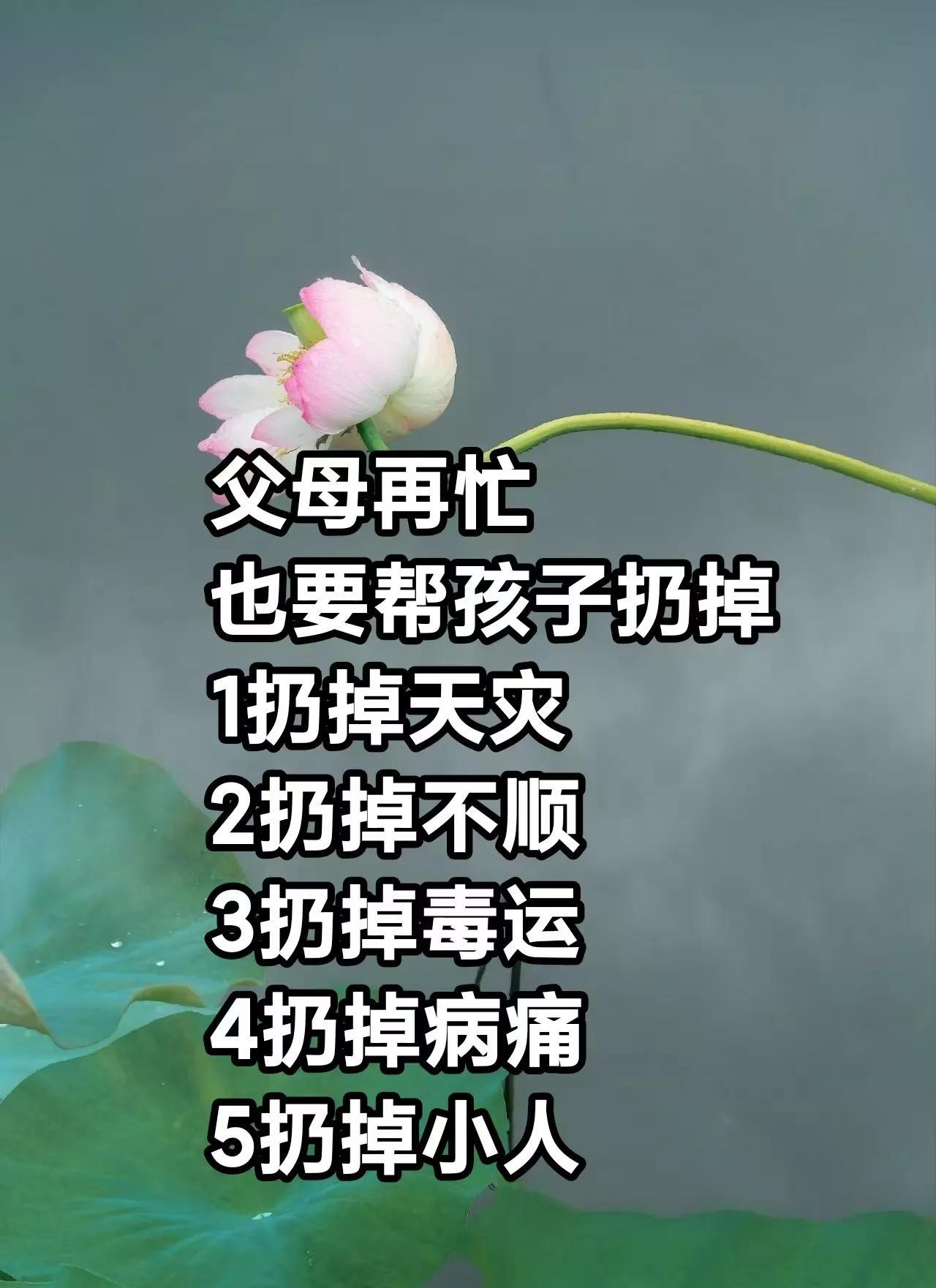 父母就是再忙
也要帮孩子扔掉
1扔掉天灾
2扔掉不顺
3扔掉霉运
4扔掉病痛
5