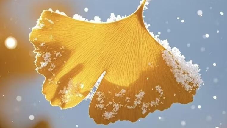 百代生物研发成功GST 标签蛋白纯化亲和介质 4FF