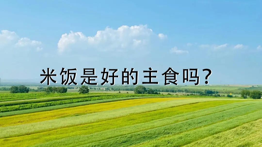 米饭是好的主食吗？