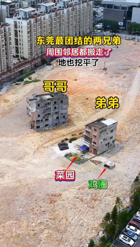 东莞最团结的两兄弟，太幸福了
