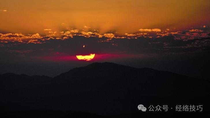 进入“四九”，别忘了用葱水泡脚通阳气！留意这两件事，腰一直暖到开春