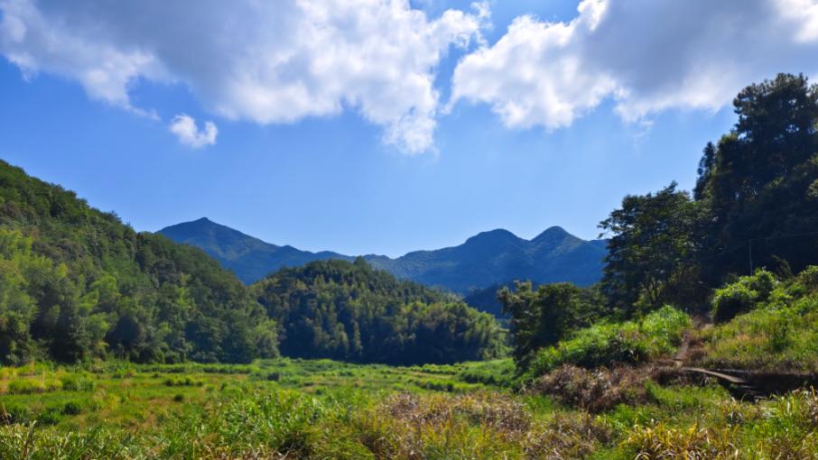 真正有智慧的人，从来不说这5句话。