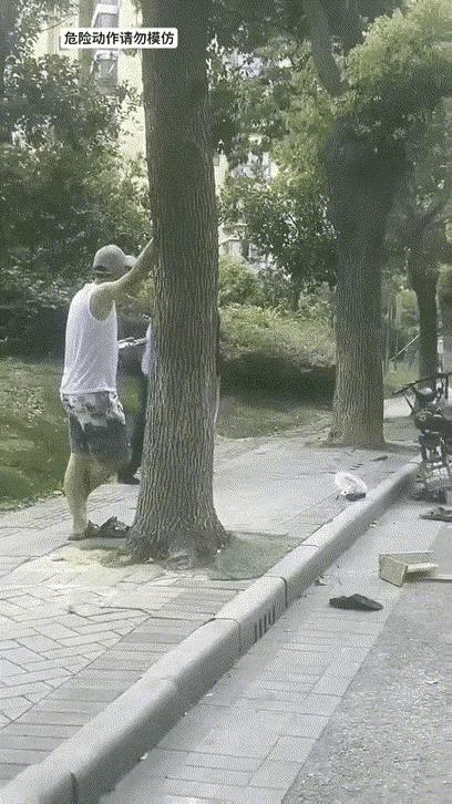 车开走了， 大爷哪里去了？