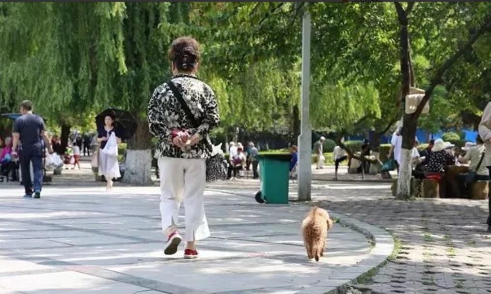 北京，一女子在小区内遛泰迪狗，谁知在路过一位大妈身边时，大妈突然倒地不起，称被小