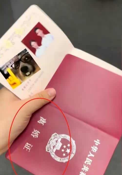 捅大娄子！吉林，一对情侣去民政局办理结婚证，拿到证还没等高兴，一看证件傻眼了：离