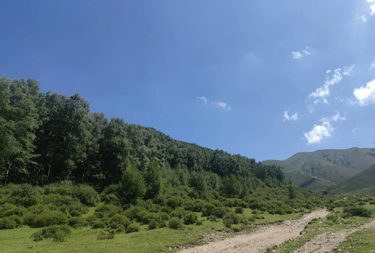 青海人浪山，那可是夏日限定的快乐！青海夏季短，满眼绿色太稀罕，大家自然忙着结伴去