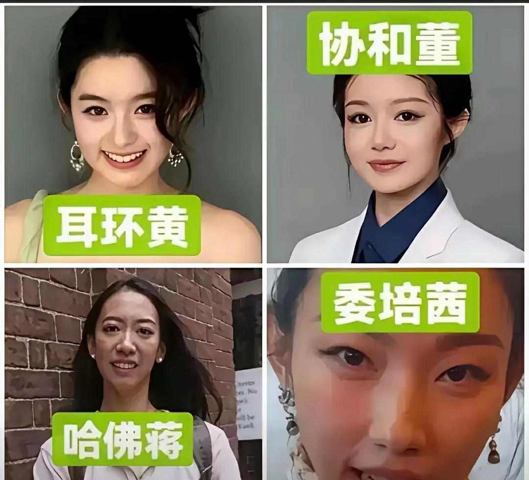 没人敢说这些人了吗？
没人说那我说了
说实话，好像这些人，突然一下子就没热度了，