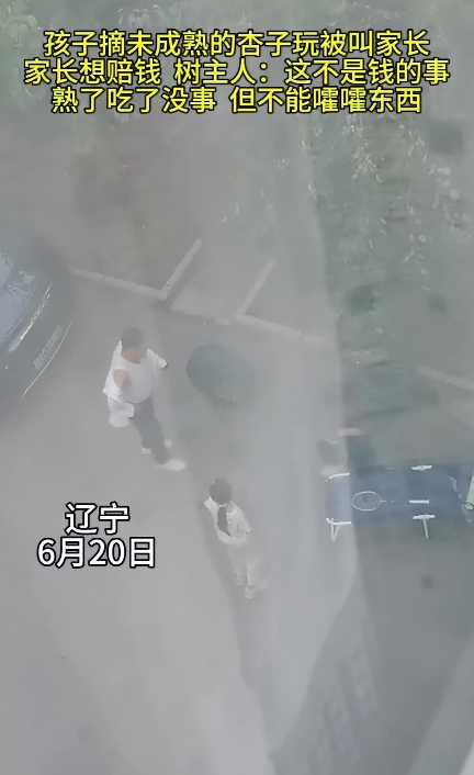 近日，辽宁发生了一件引发热议的事。6月20日，一群孩子摘下了一堆尚未成熟的杏子玩