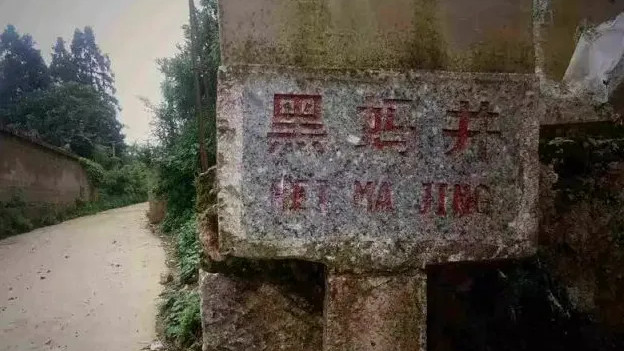 1988年黑蚂井矿山：冲矿刨出汉墓，青铜器碎片险遭熔毁，考古队火速救援！