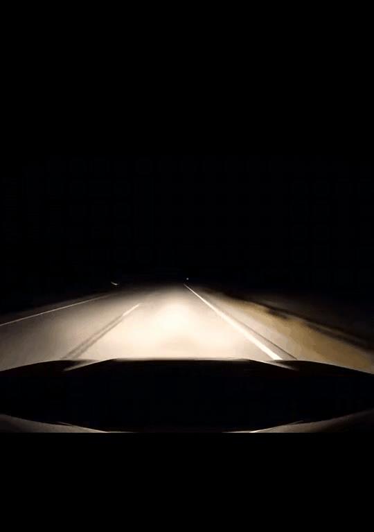 这到底是巧合？还是真的有因果？
夜晚开车，车头前遇到一只小鸟飞过，本能的踩了下刹