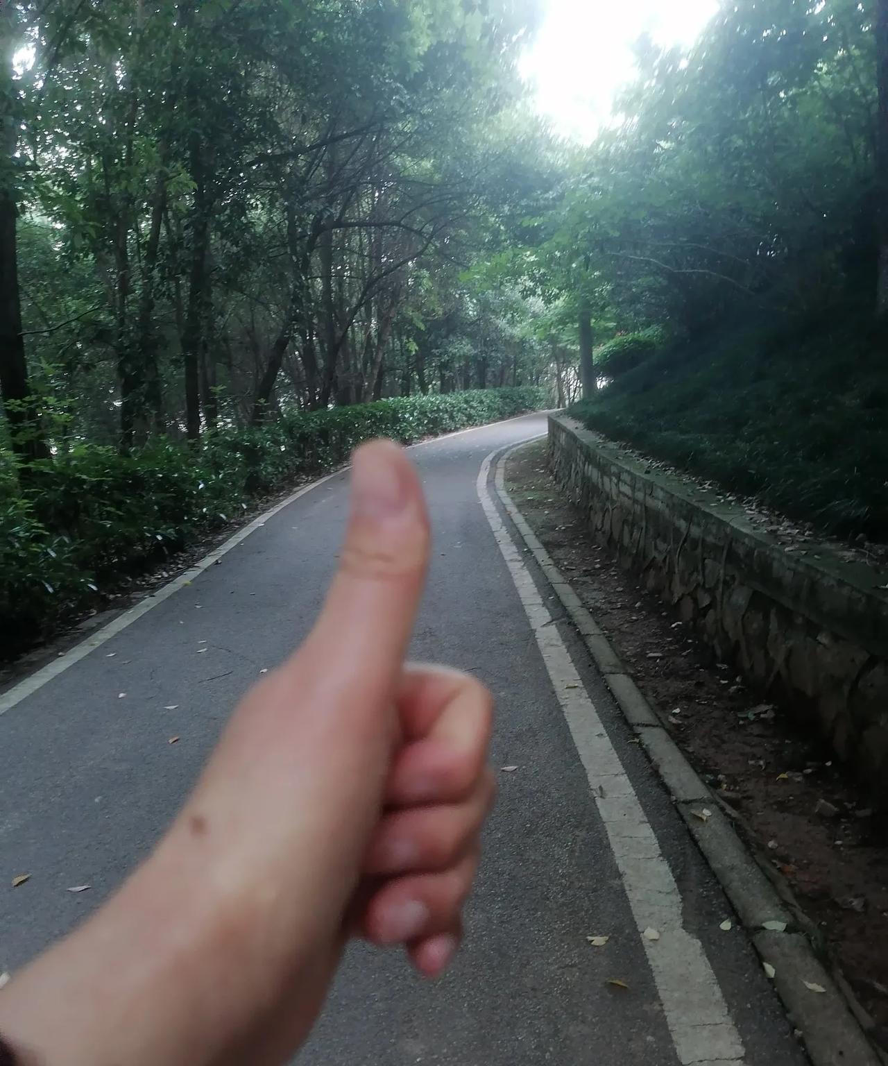 四点半起床，五点上山散步，此时天已大亮，无论昨晚的梦境是好是坏都已经过去，过去的
