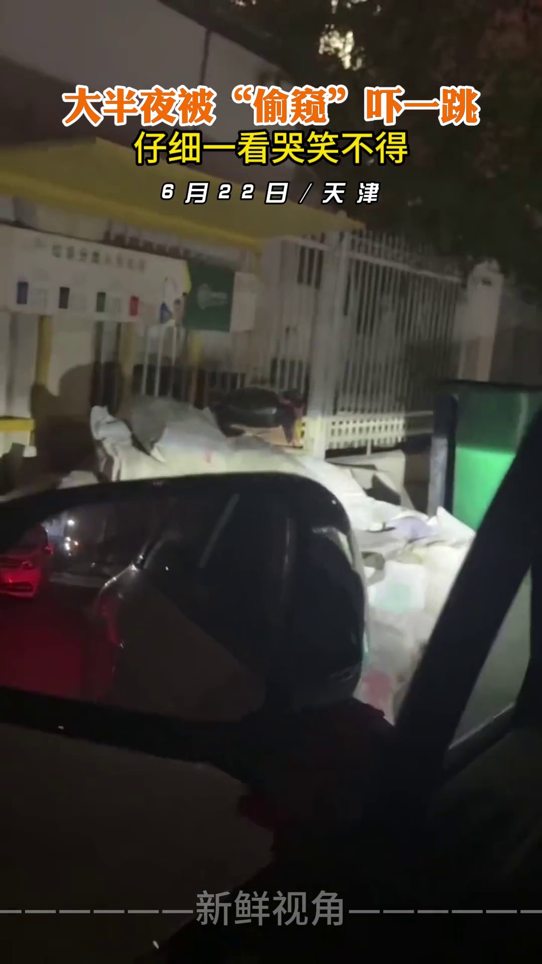 大半夜被“偷窥”吓一跳 仔细一看哭笑不得