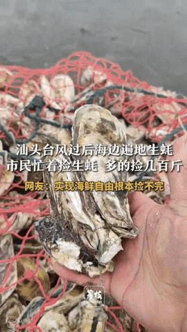 这下赚大了！广东，台风“韦帕”刚离开，附近的居民就纷纷往海滩跑，他们一人拿个塑料
