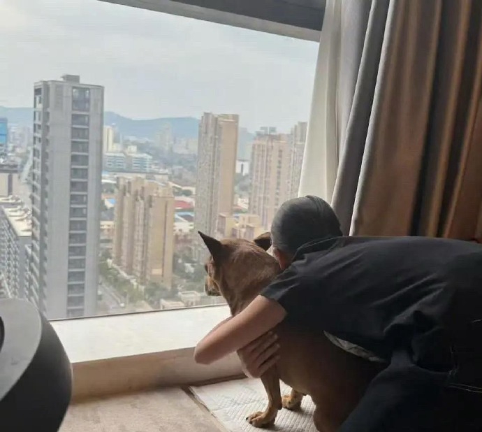 近期，孙俪晒女儿背影，11岁小花与领养狗狗超有爱！穿兄妹装背影像邓超 ​​​