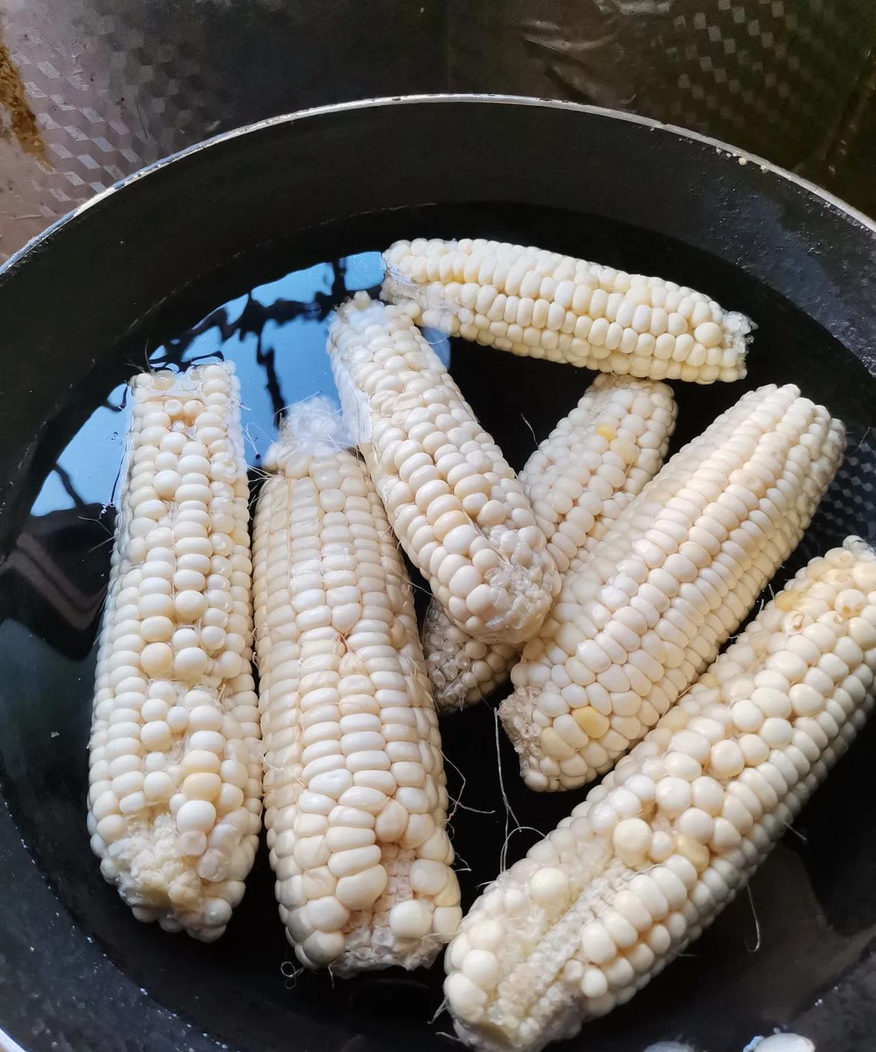 早上好   友友们
不想起床   还想睡觉    趁孩子们睡着   起床给孩子们