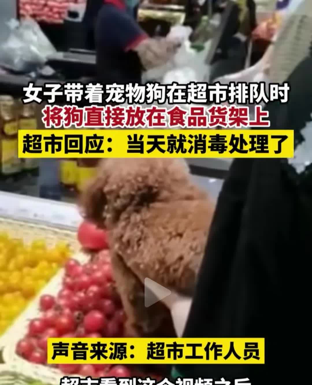 为什么不能带狗进超市？这就是原因。
一女子携带自己的宠物逛超市，在排队等待的过