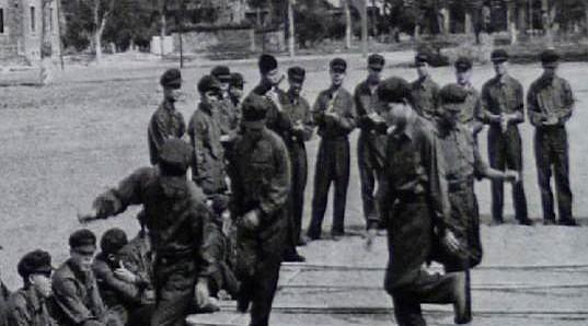 1979年6月20日，是中越战俘交换的最后一批现场。
那天，友谊关边境线上站满了