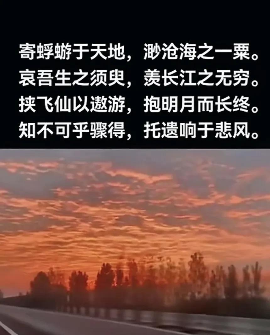 活到一定年龄你就会明白，人这一辈子有3件事，是你无论如何也决定不了的！
第一个是